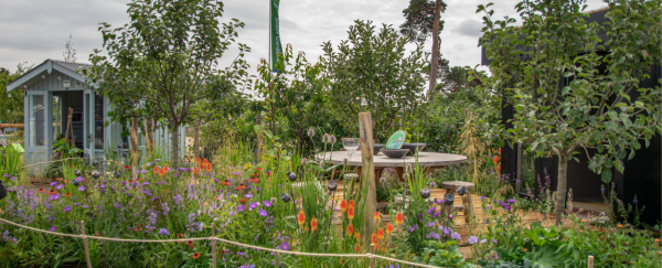 'The Gathering' - a garden display by Spacecraft and Mindful Chef at the RHS Sandringham Flower Show 2026 A timber summerhouse sits within a show garden at the RHS flower show, where lotsa of trees, foliage and a decking can be seen to the right. On the decking is a wooden table and chairs, with a show award on the table